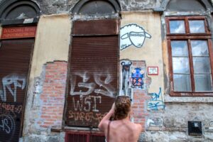 Alternative Budapest Walking Tour - Street Art Across Buda and Pest: Watching Budapest Tell Stories on Walls