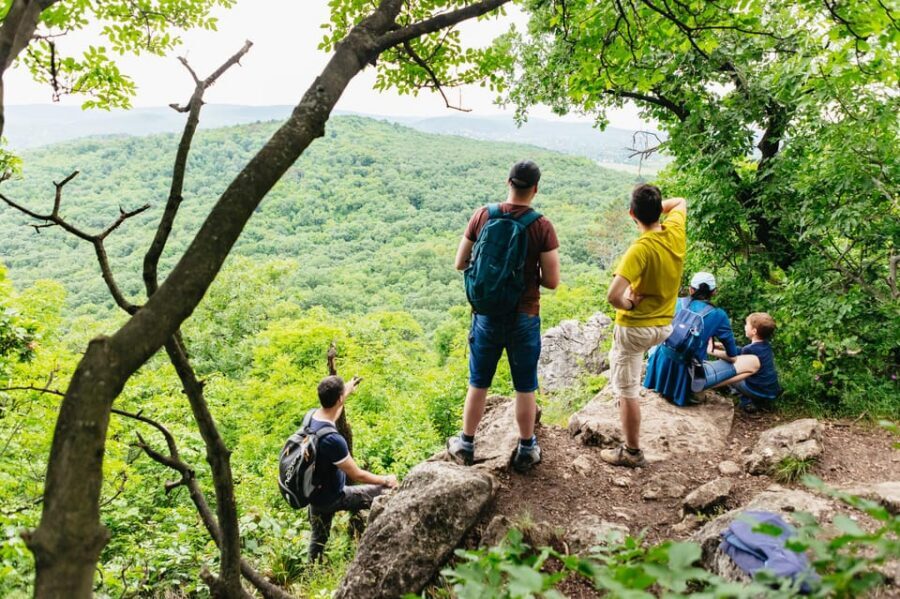Budapest: Buda Hills Guided Hiking Tour with Optional Lunch - Kis-Hárs Hill lookout: your second big angle over Budapest