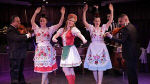 Budapest: Danube Cruise with Folk Dancing and Drinks - Boarding at Silverline Dock: what to do before the show starts