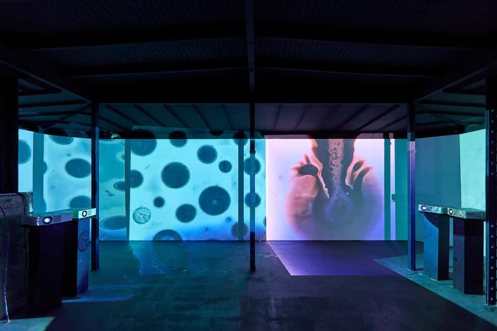 Budapest: Light Art Museum - Immersive New Media Experience - Timing and crowds: when you should go