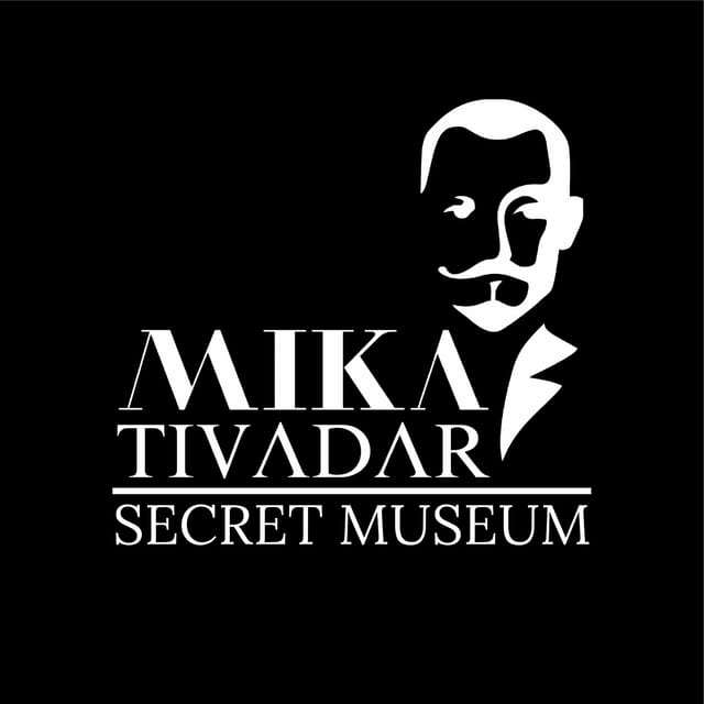 Budapest: Mika Tivadar Secret Museum Entry Ticket - The house story and the street story: how it connects beyond the walls