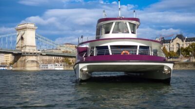 Budapest: Pizza Cruise - Pizza and Your One Included Drink: How to Plan Your Meal