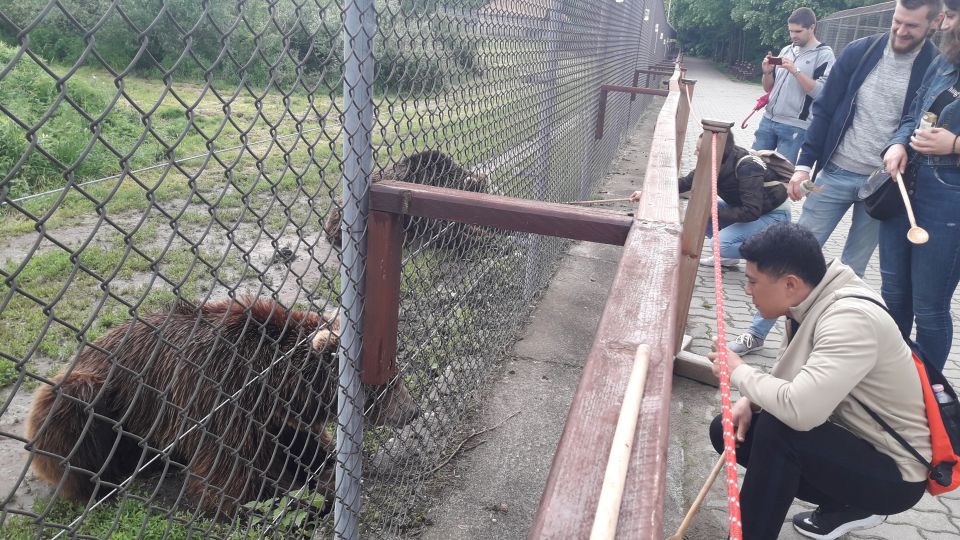 Budapest: Transport & Guided Tour of Bear and Wolf Sanctuary - Key things I’d lock in before you go