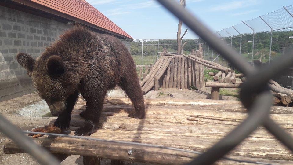 Budapest: Transport & Guided Tour of Bear and Wolf Sanctuary - Batthyány tér: your Danube-side starting point