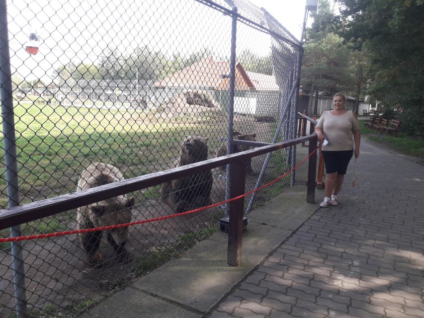Budapest: Transport & Guided Tour of Bear and Wolf Sanctuary - Brown bears vs grizzlies: the guide lesson that sticks