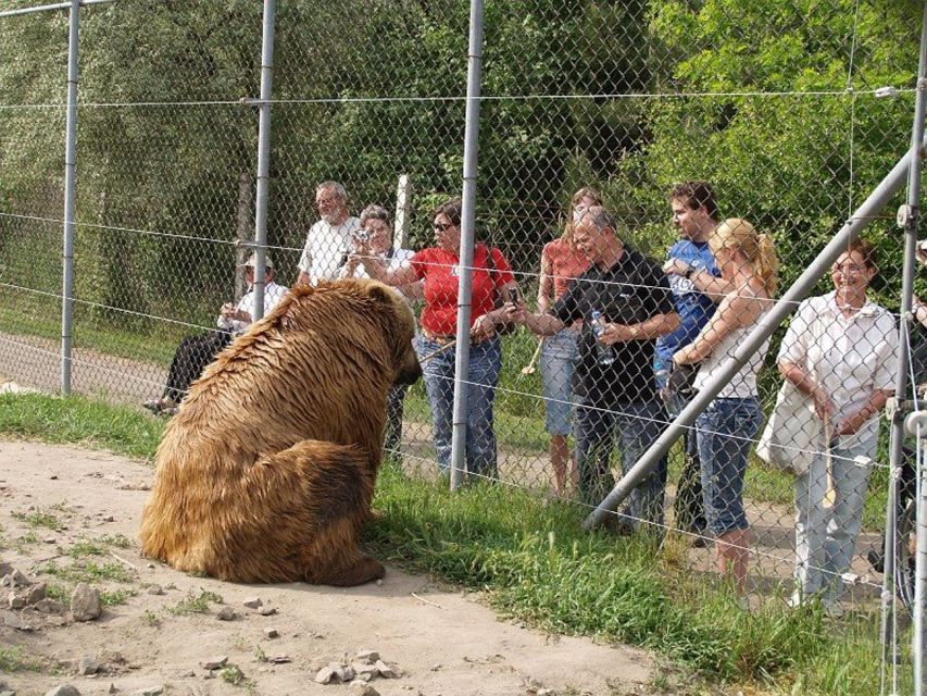 Budapest: Transport & Guided Tour of Bear and Wolf Sanctuary - Private air-conditioned van: what the 45 km ride is really for