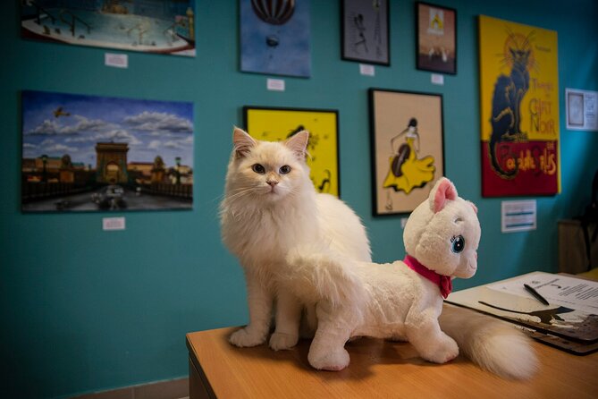Cat Museum Budapest Entry Ticket - Entering the Museum Flow: Lower Level Cats in the World