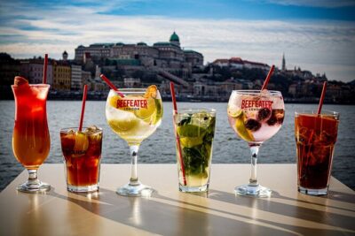 Cocktail Cruise and City Views on the Danube in Budapest - Where You Board: Jane Haining rkp and the River Dock Scene