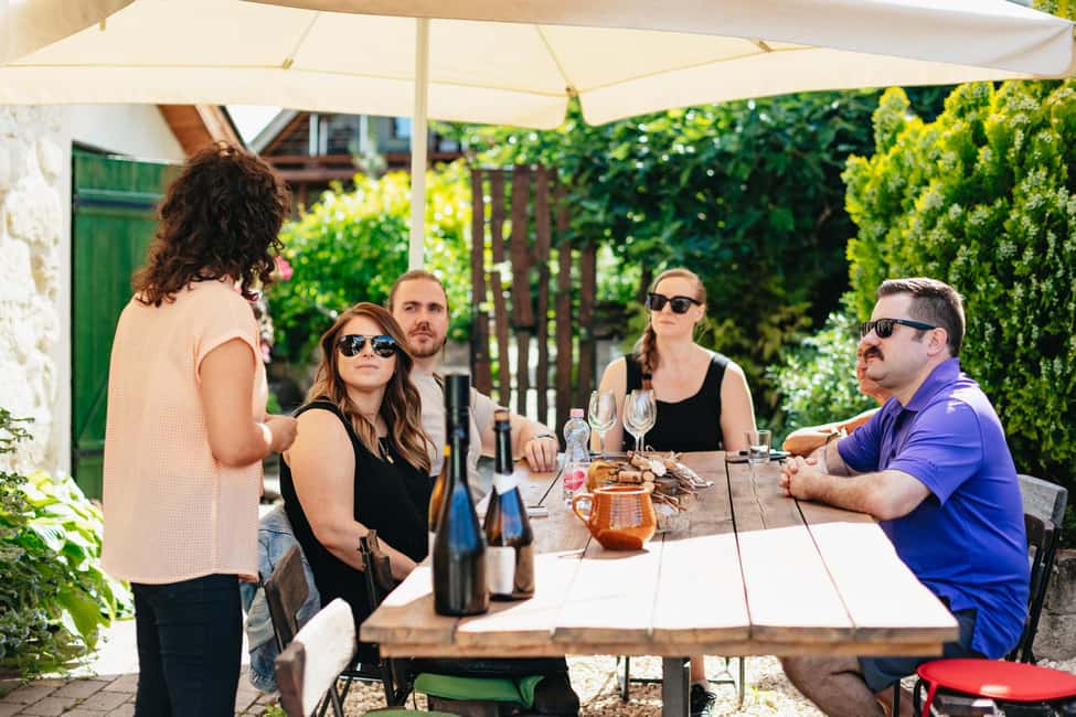 From Budapest: Etyek Wine Tasting Tour with 3-Course Meal - Family Wineries: Cellar Tours and 4-Taste Flights