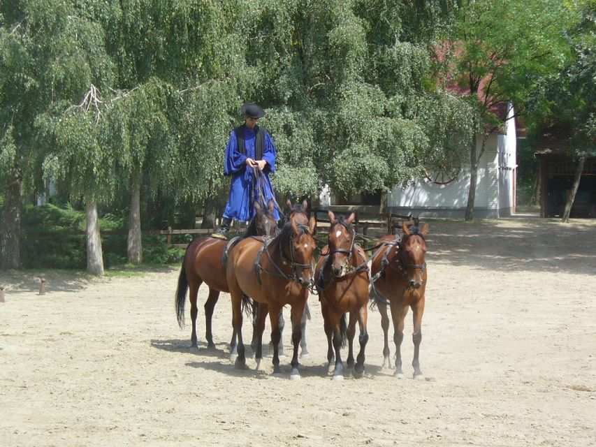 From Budapest: Full-Day Puszta Tour with Lunch and Show - Who should book this Puszta day trip (and who might not)