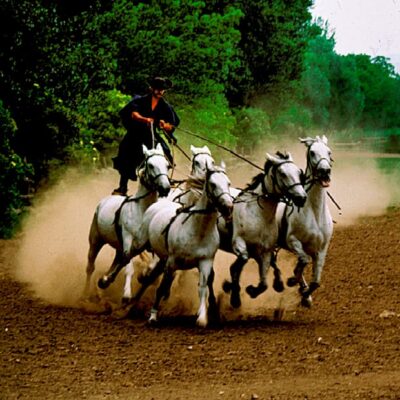 From Budapest: Puszta Horse Show and Countryside Visit - Kecskemét, the quick walk that helps you see more