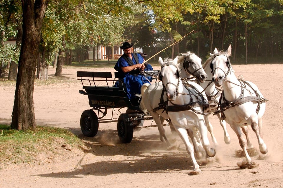 From Budapest: Puszta Horse Show and Countryside Visit - Palinka and the aperitif moment: a small taste, big local feel