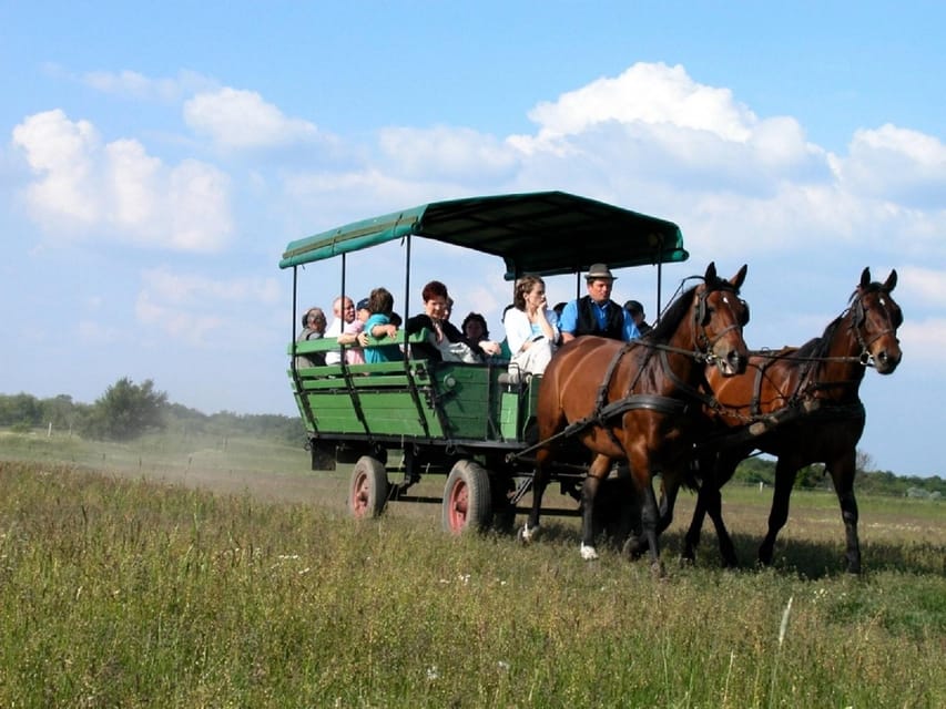 From Budapest: Puszta Horse Show and Countryside Visit - Who should book this Puszta horse show day trip