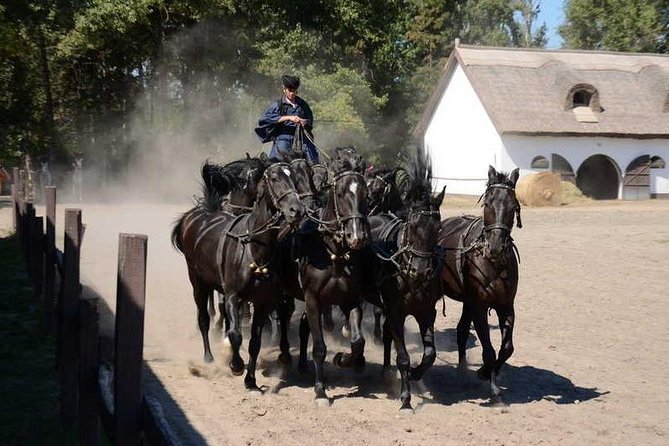 Horseshow on the Hungarian Puszta, private tour from Budapest with entry! - Kiskunsagi Nemzeti Park: carriage ride and stables time