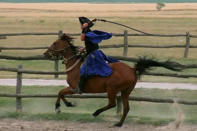 Horseshow on the Hungarian Puszta, private tour from Budapest with entry! - The included lunch and wine: simple, local, and timed for the show