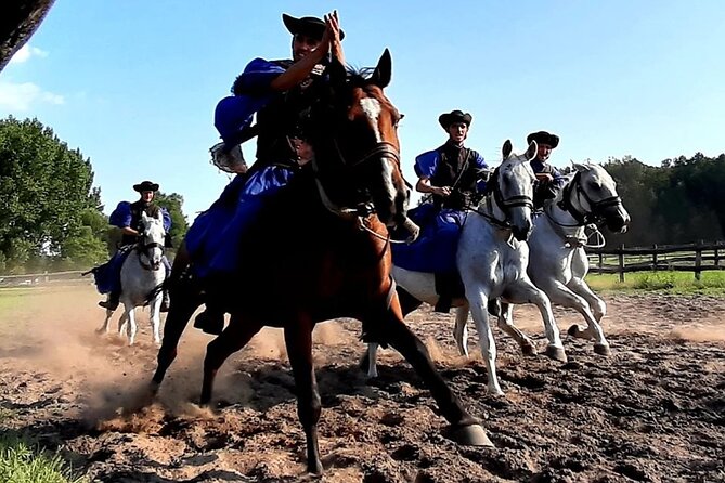 Horseshow on the Hungarian Puszta, private tour from Budapest with entry! - Price and value: is $360 per person fair?