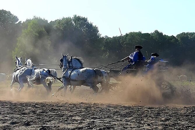 Horseshow on the Hungarian Puszta, private tour from Budapest with entry! - Who should book this Puszta horse show (and who might skip it)