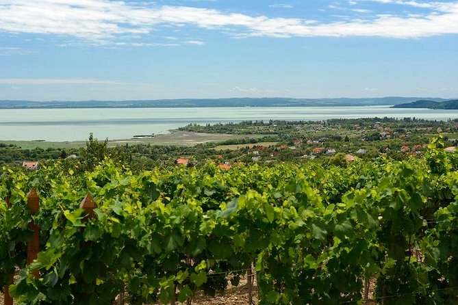 Private tour from Budapest to a top hidden treasure region of Europe: Lake Balaton - Food, wine, and the lavender angle (what’s included vs what’s on you)