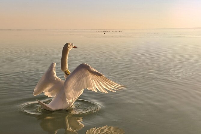 Private tour from Budapest to a top hidden treasure region of Europe: Lake Balaton - Value for families, couples, and travelers who hate bus tours